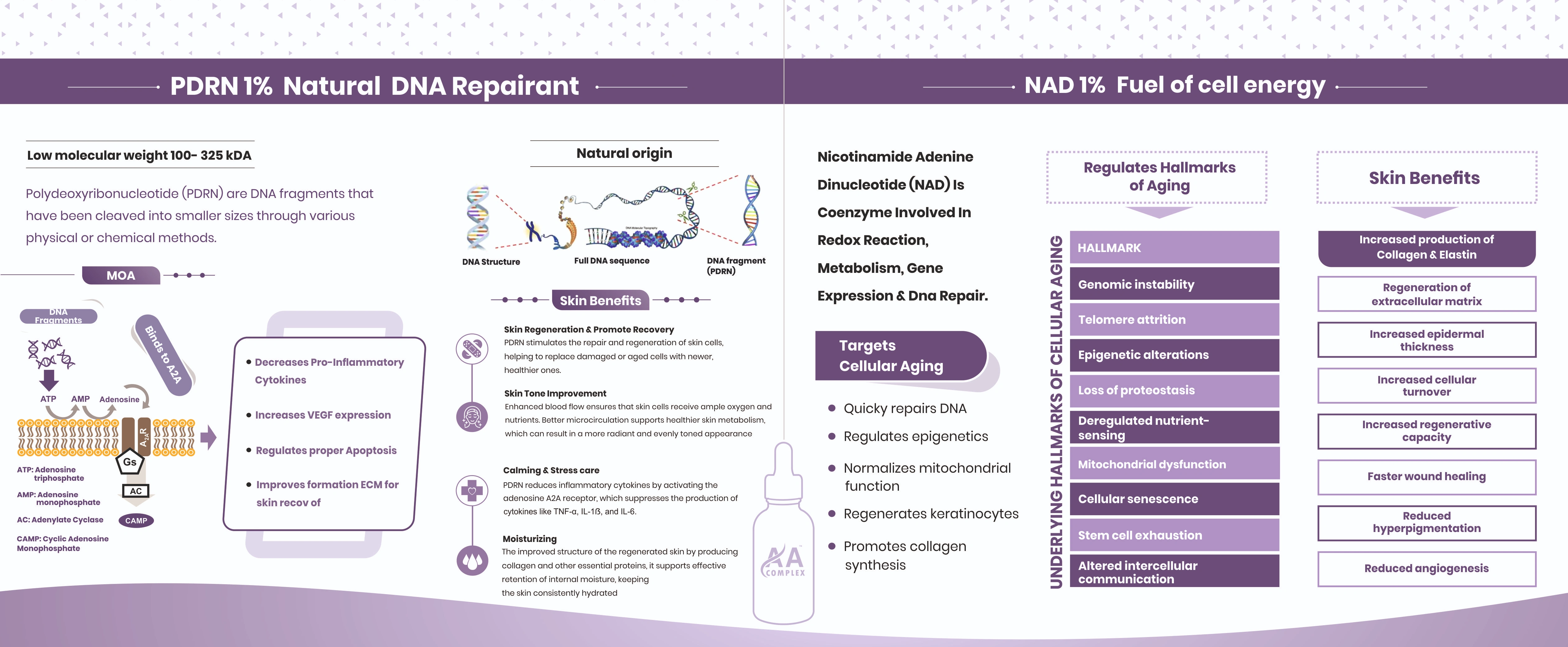 Sockets & Plug Tops Project