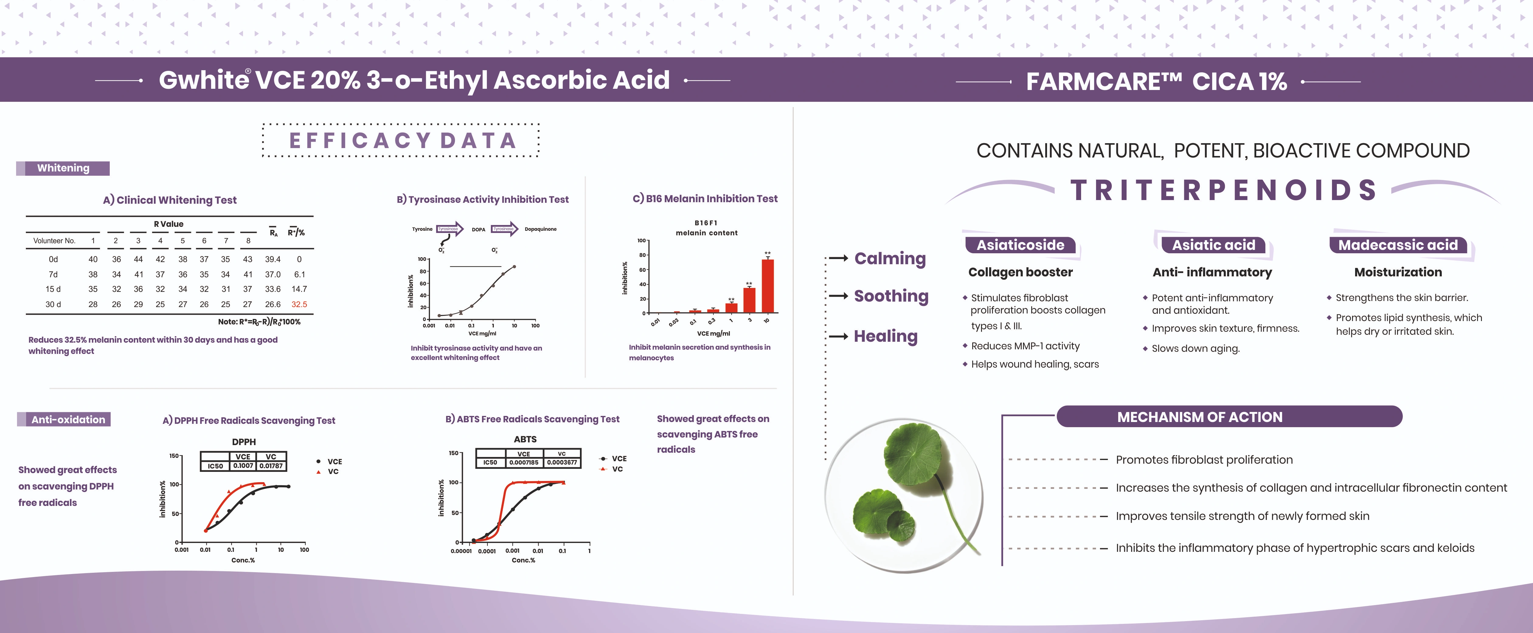 Modular Switches Project