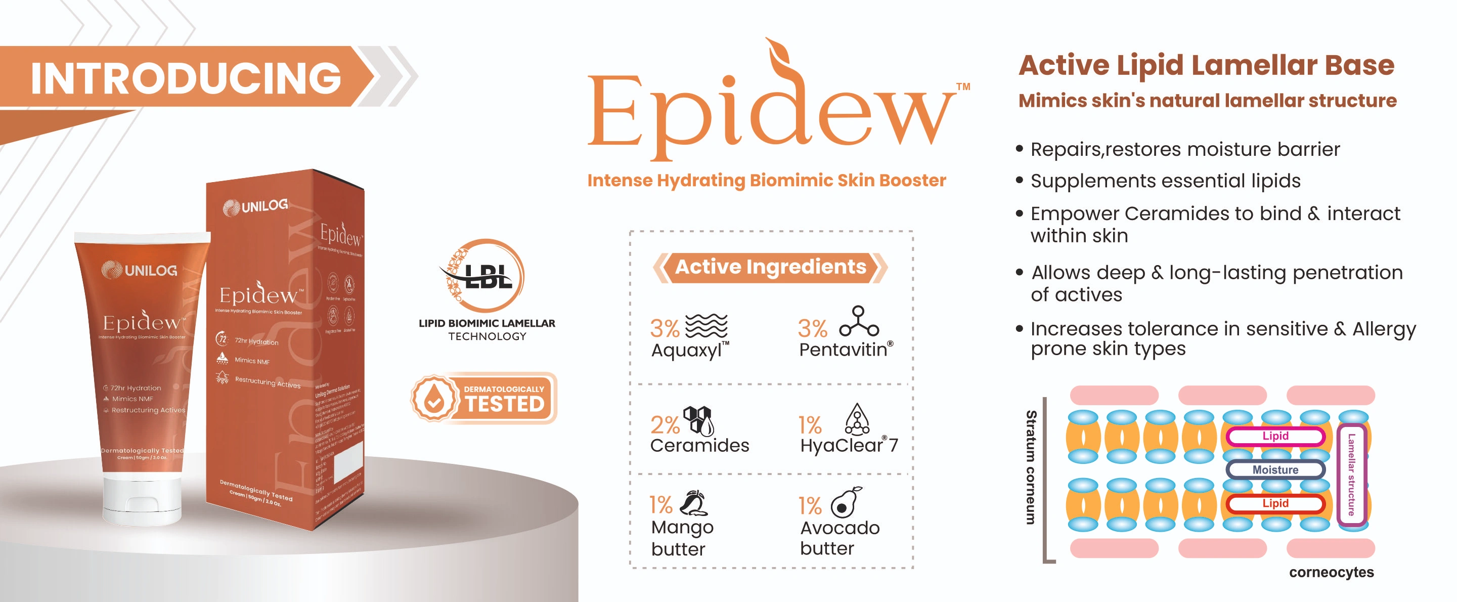 Modular Switches Project