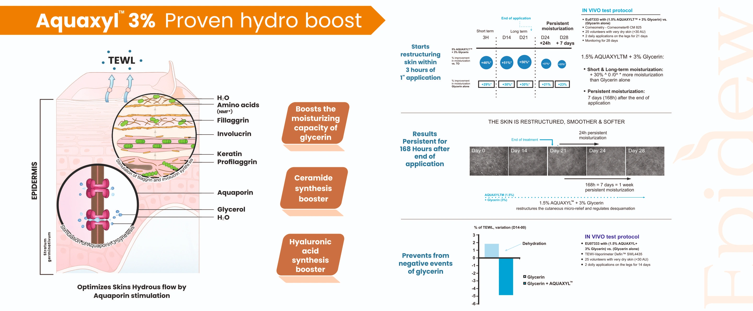 Modular Switches Project