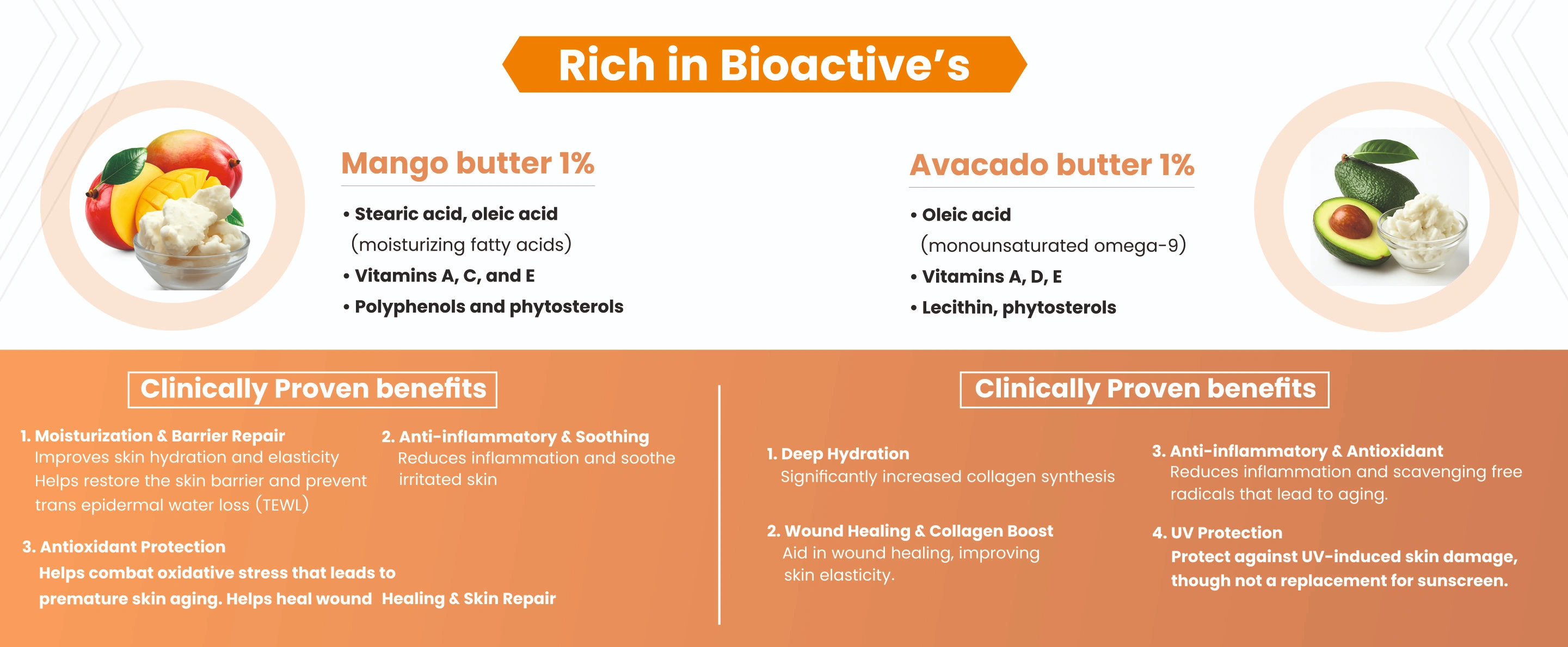 Modular Switches Project