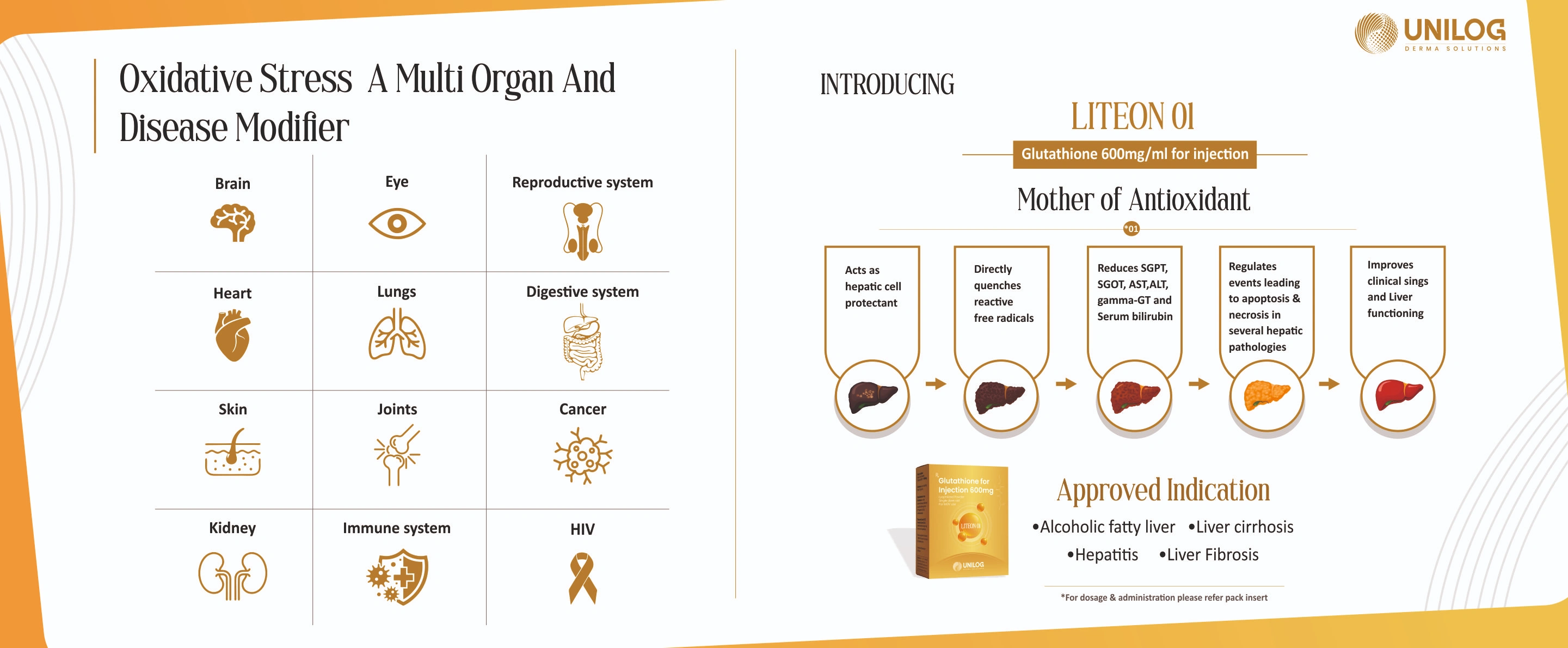 Modular Switches Project