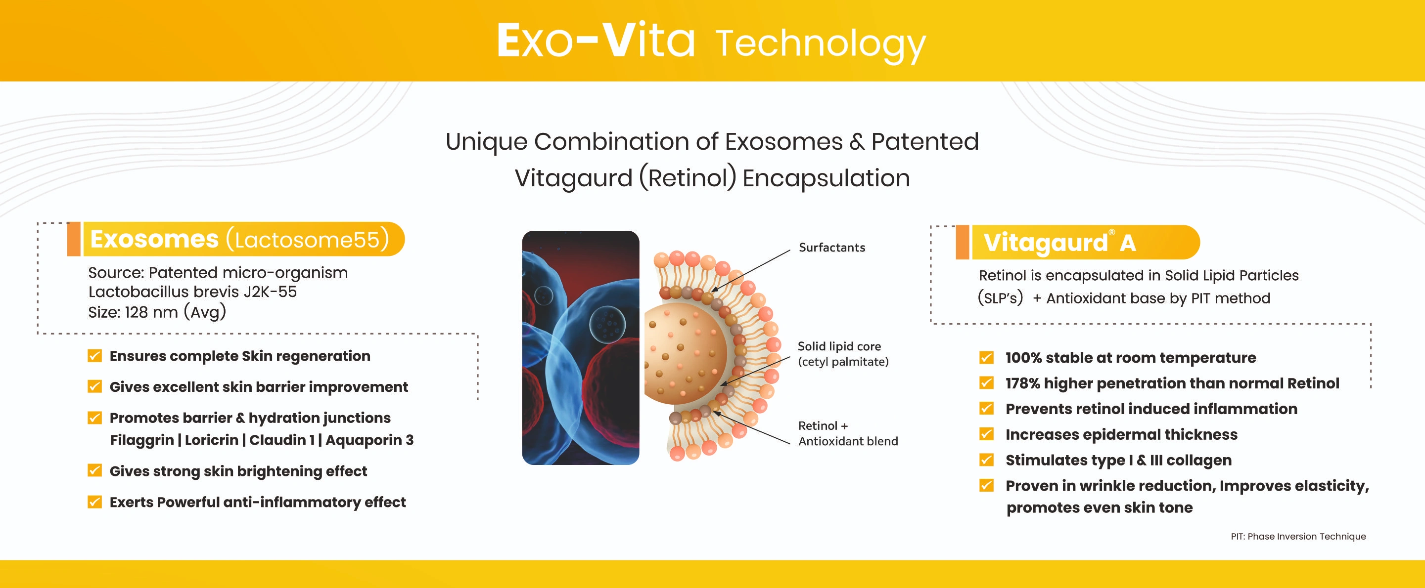 Modular Switches Project