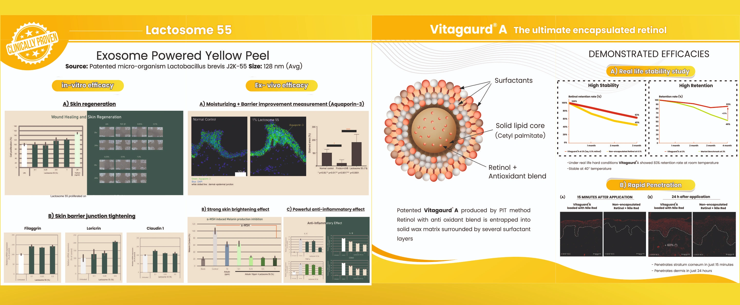 Modular Switches Project