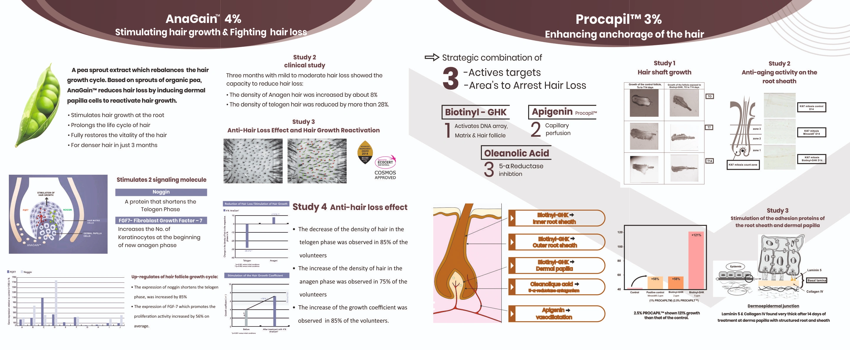 Modular Switches Project